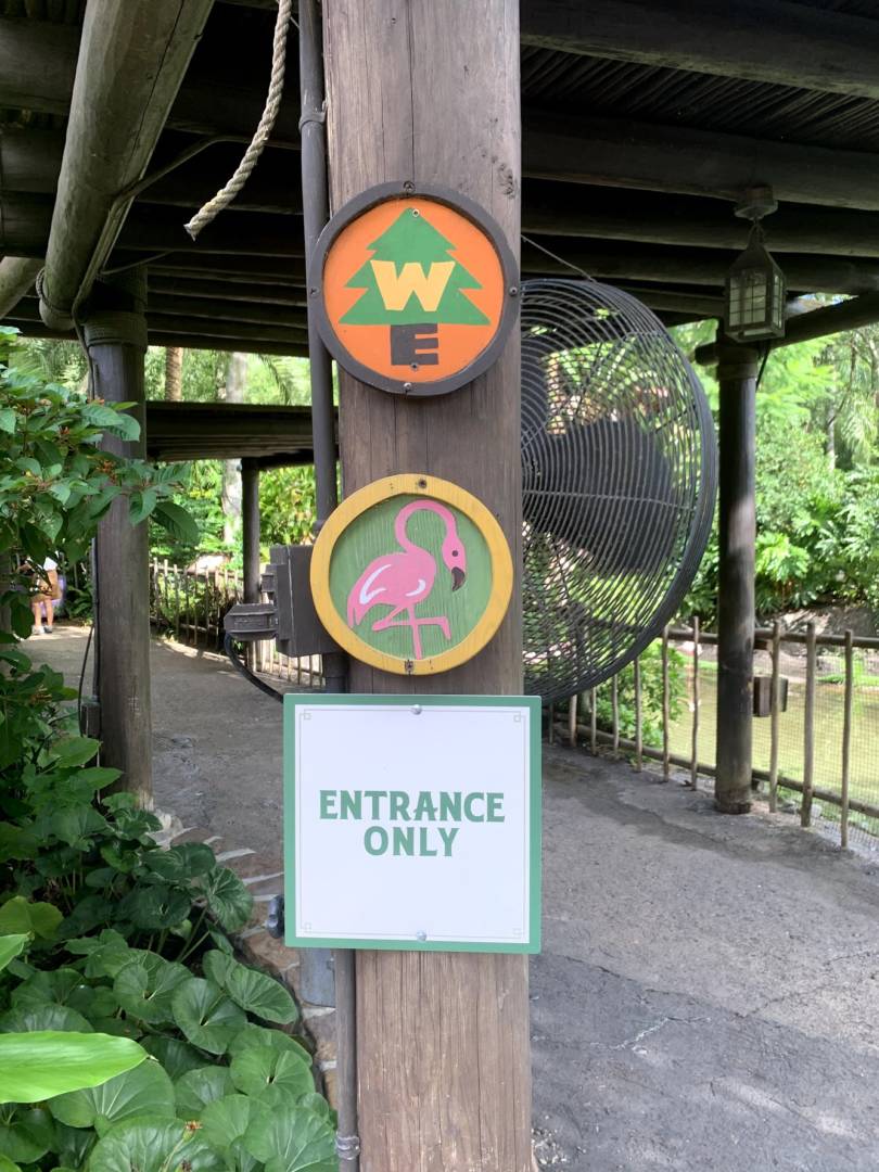 Wilderness Explorers, Disney’s Animal Kingdom Wilderness Explorers Program Adjusts to Wild Times