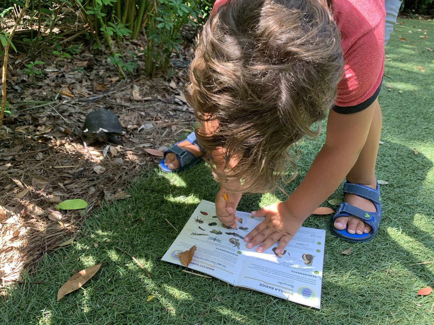 Wilderness Explorers, Disney&#8217;s Animal Kingdom Wilderness Explorers Program Adjusts to Wild Times