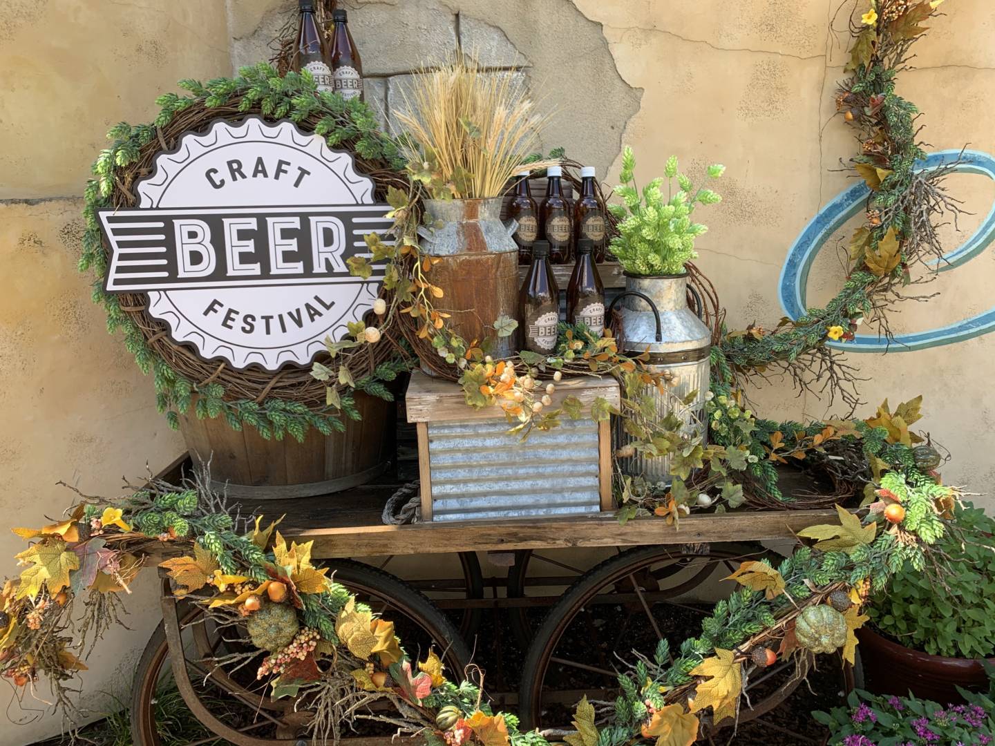 , SeaWorld Orlando’s Craft Beer Festival: A Foodie’s Paradise