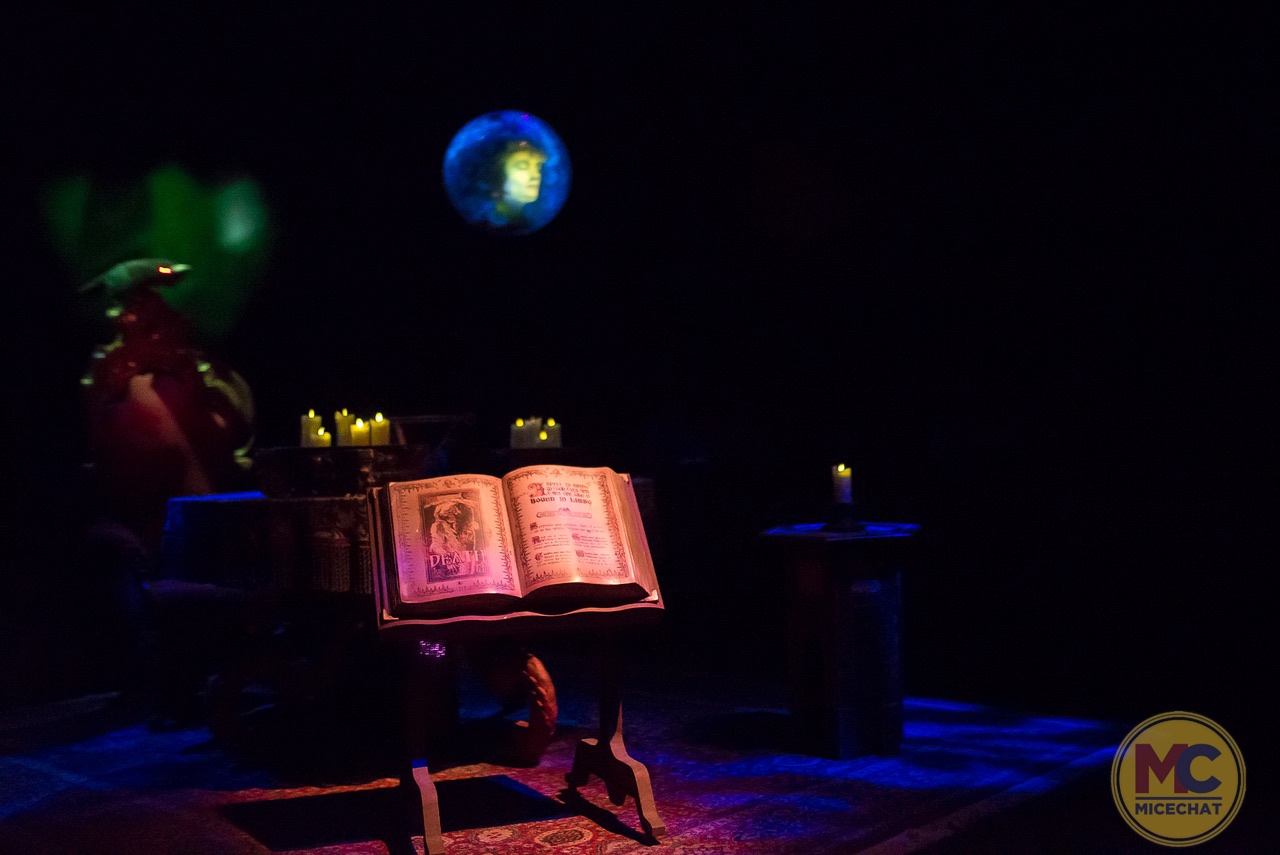, Disneyland Update – Magic, Mayhem & Parks Bleed Billions