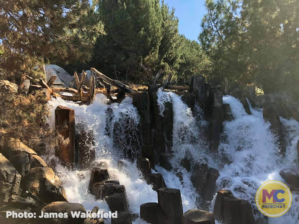 , Disneyland Update! Opportunity Knocks For Disneyland