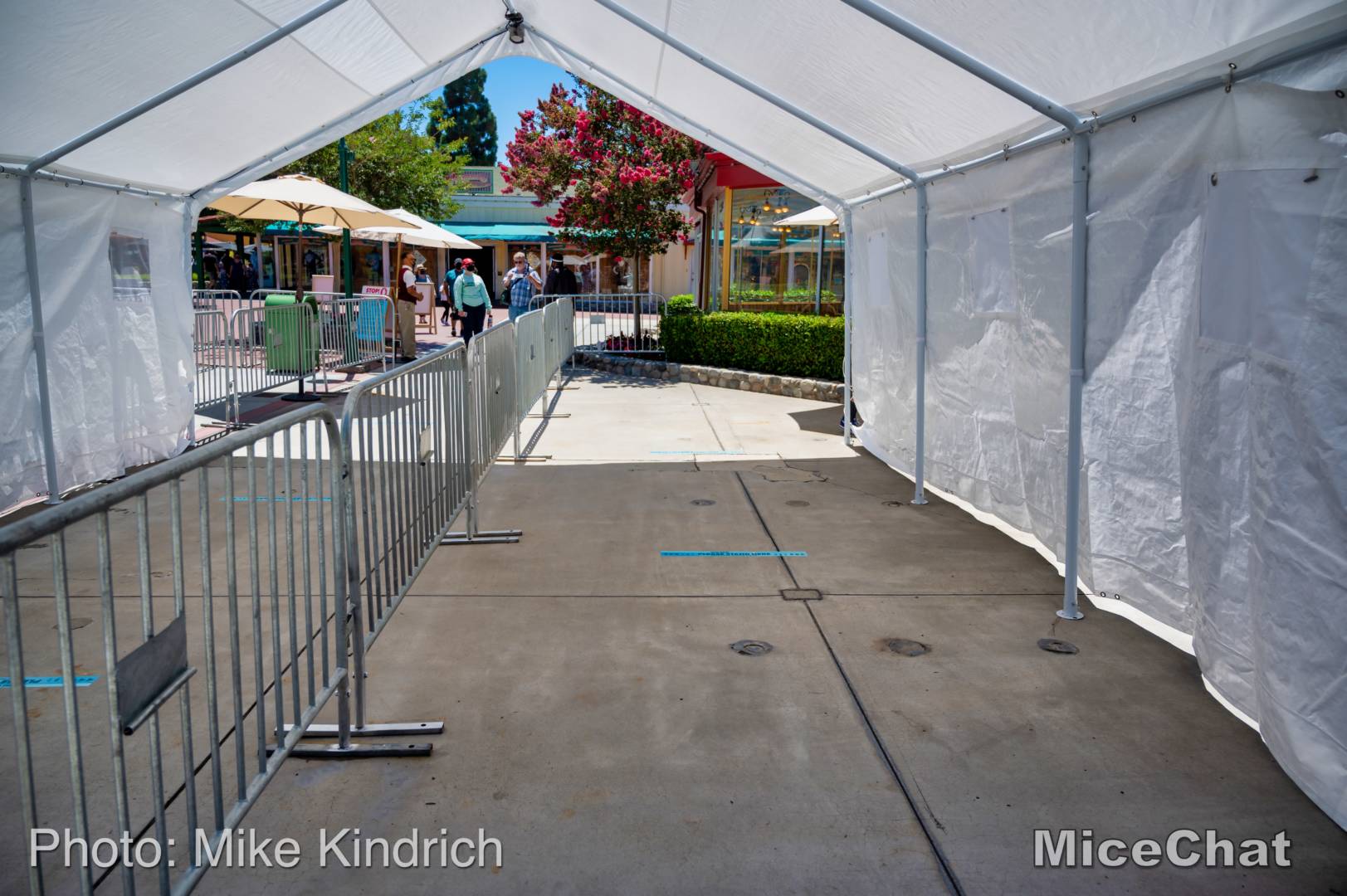 , Disneyland Update – The Other Shoe is About to Drop