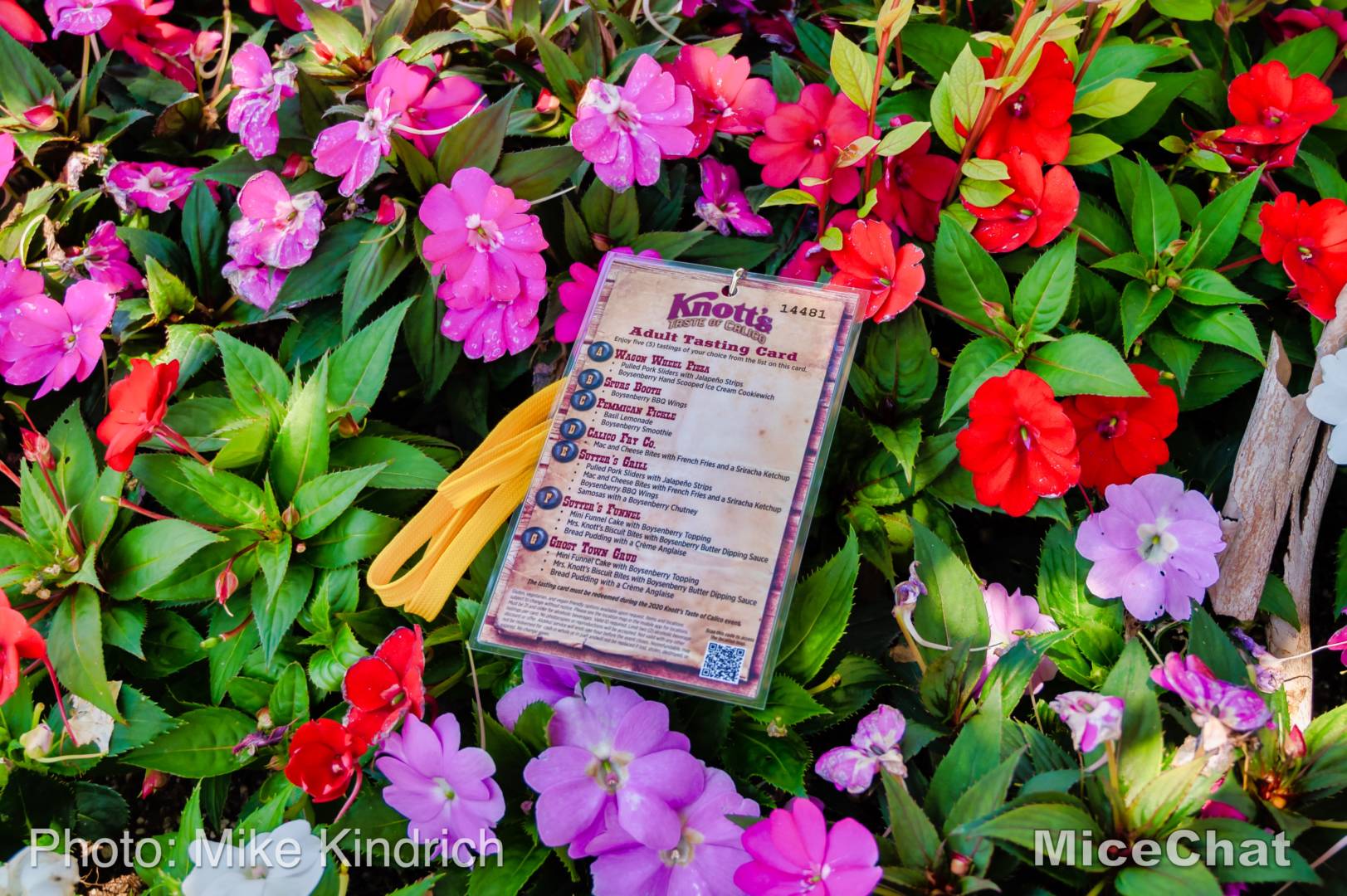, Disneyland Update – The Other Shoe is About to Drop