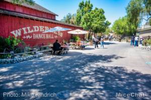 , Disneyland Update – The Other Shoe is About to Drop