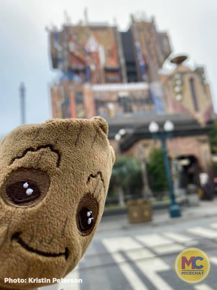 , Disneyland Update – New Magic, Aerial Discoveries, and Layoffs