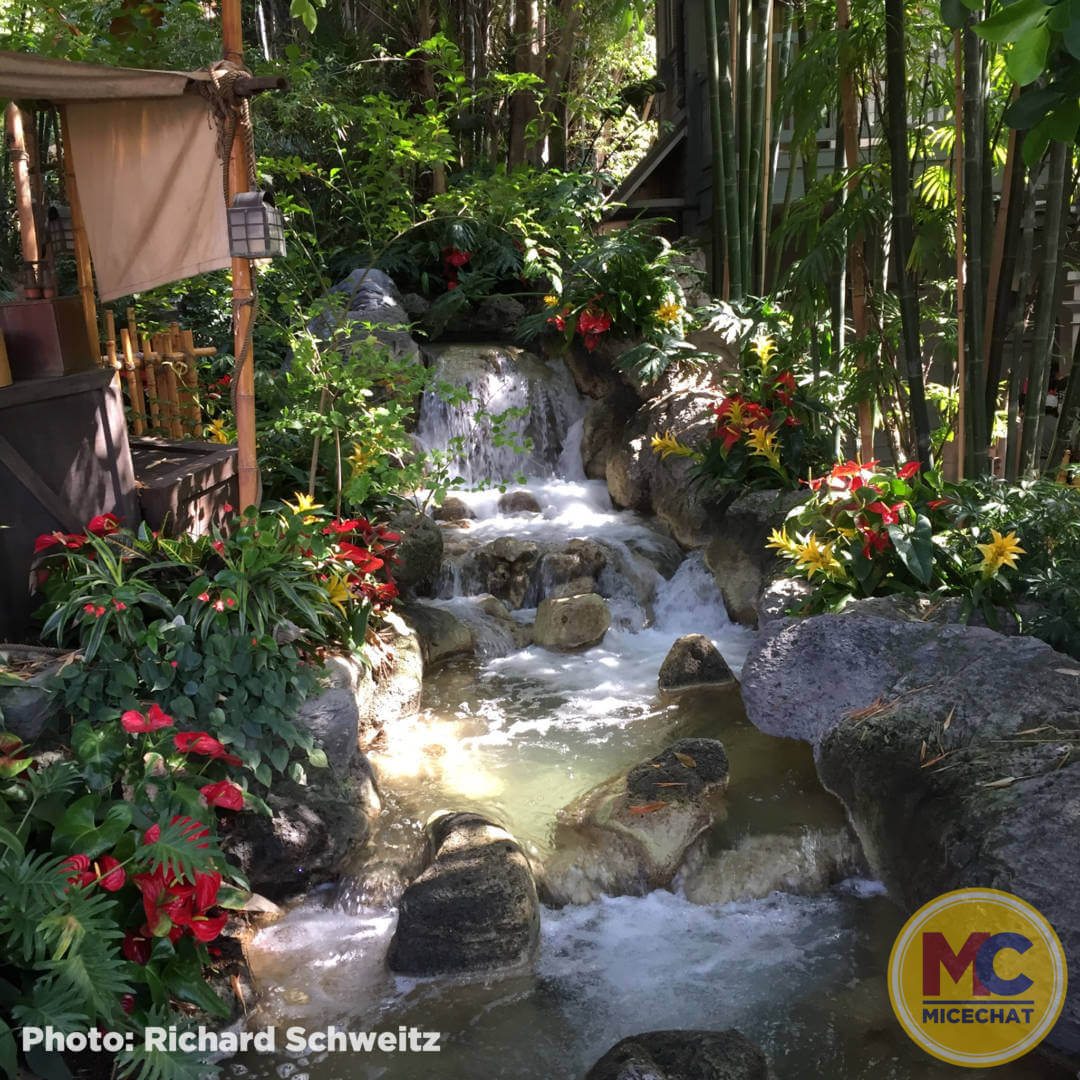 , Disneyland Update! Opportunity Knocks For Disneyland
