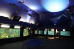 SeaWorld Aquarium Interior