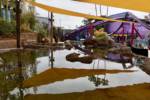 SeaWorld Touch Pool