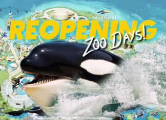 SeaWorld San Diego Reopens THIS FRIDAY For Zoo Days!