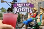 Taste-Of-Knotts-Cover-MiceChat-First-Day