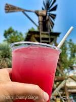 Taste of Knotts-Food Basil Lemonaid-micechat