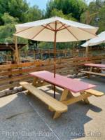 Taste of Knotts-Seating New-micechat