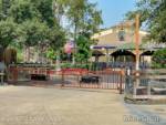 Taste of Knotts-View Path Closed-micechat