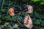 Disney-Parks-halloween-merchandise-collection-candy-swirl-ear-headband