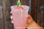 kb-cta-taste-knotts-watermelon-lemonade