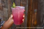 kbf-cta-taste-knotts-basil-lemonade