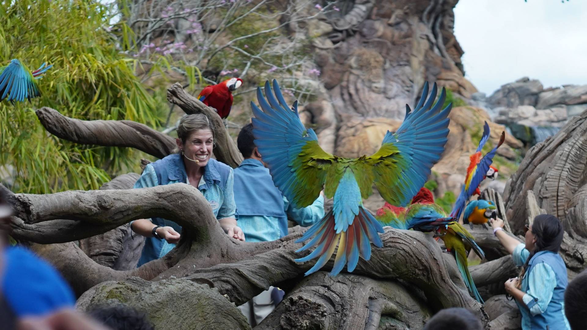 Animal Kingdom, New Animal Kingdom Documentary Series Narrated by Josh Gad Headed to Disney Plus