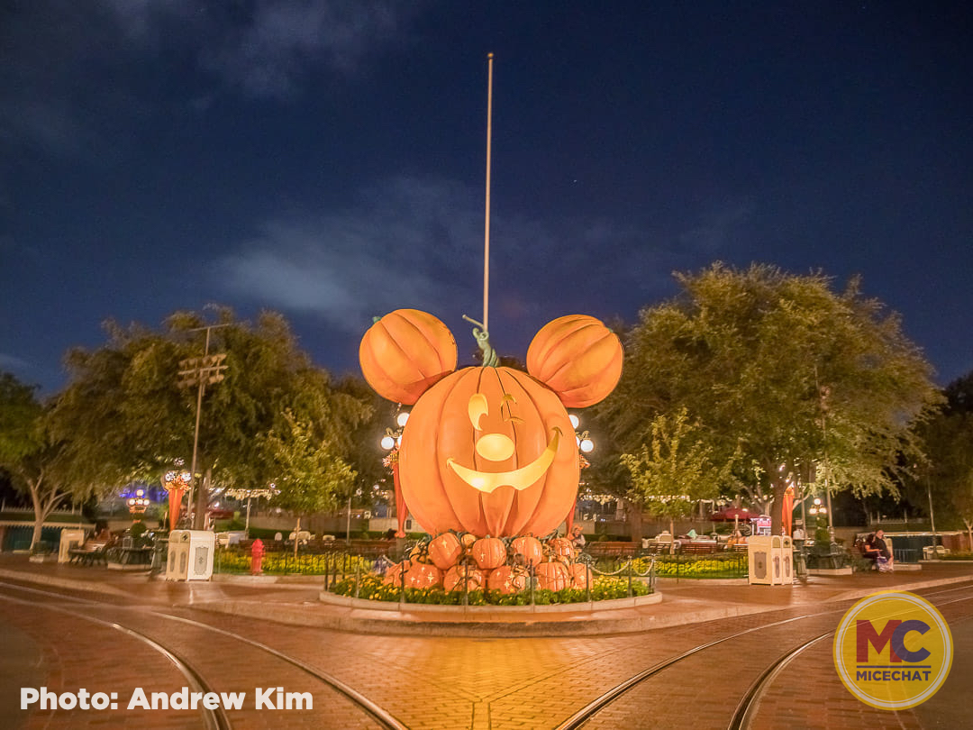 , Disneyland Update &#8211; And the Winner Is . . .