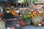 Big-Thunder-Ranch-Halloween-1-Disneyland-Micechat