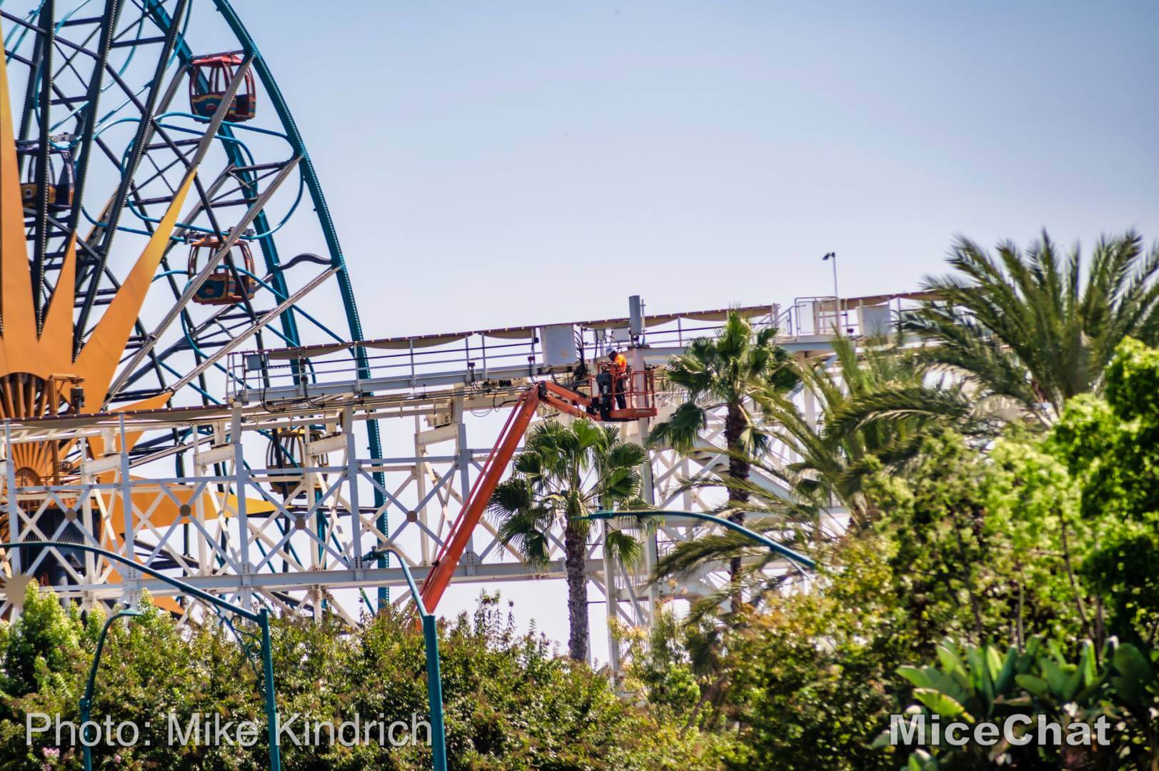 , Disneyland Update – A Tale of Wild Extremes