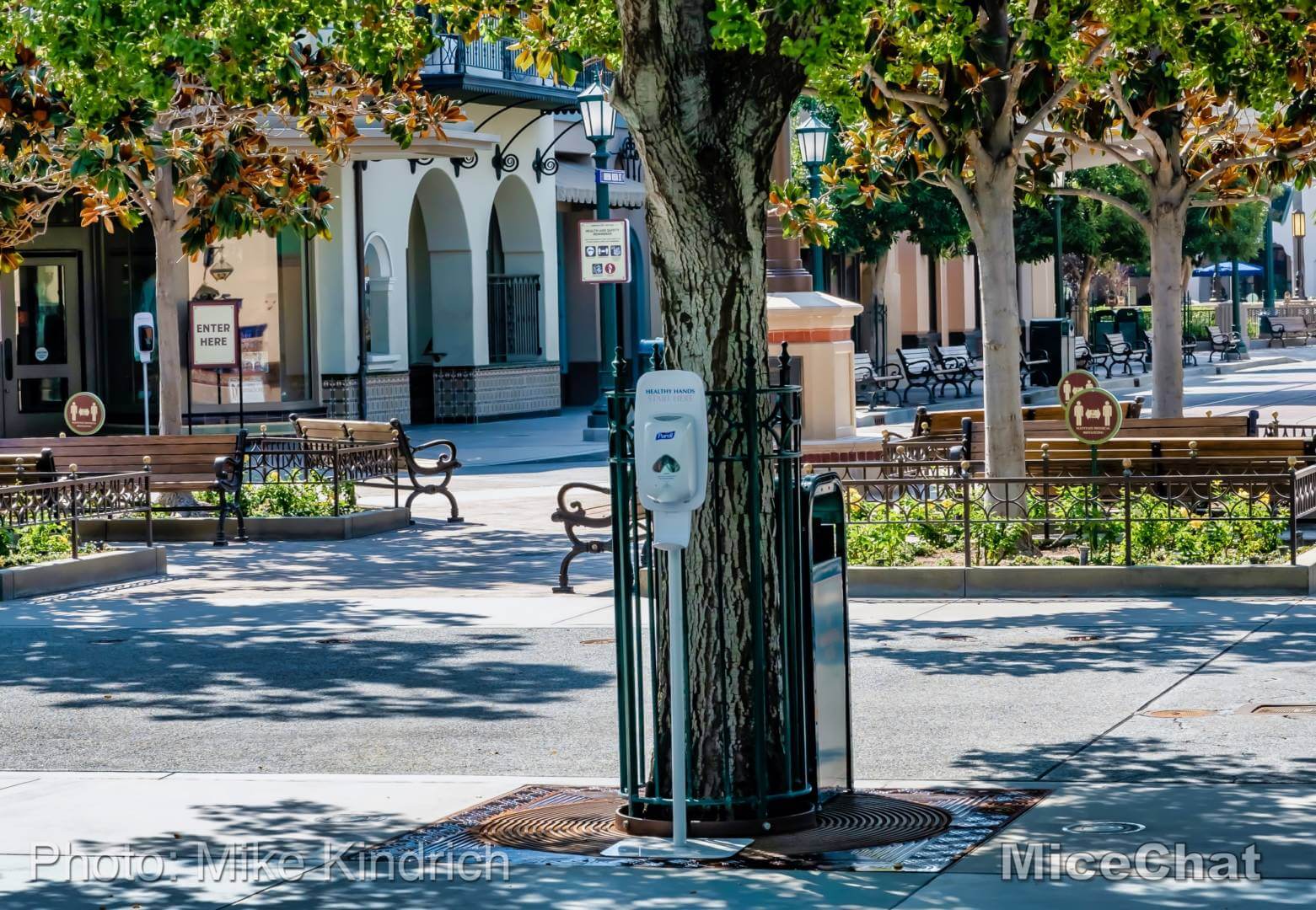 , Disneyland Update – A Tale of Wild Extremes