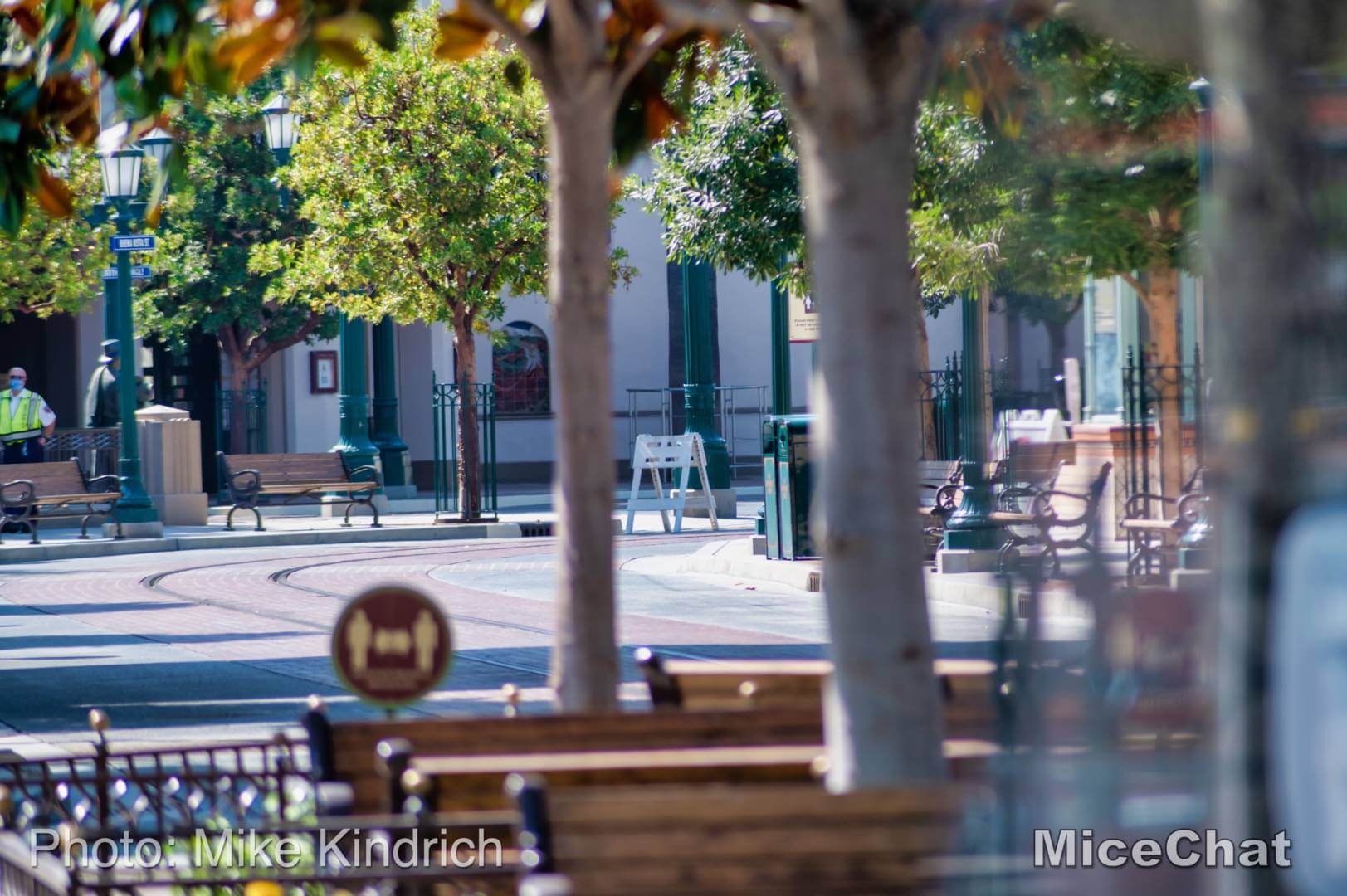 , Disneyland Update – A Tale of Wild Extremes