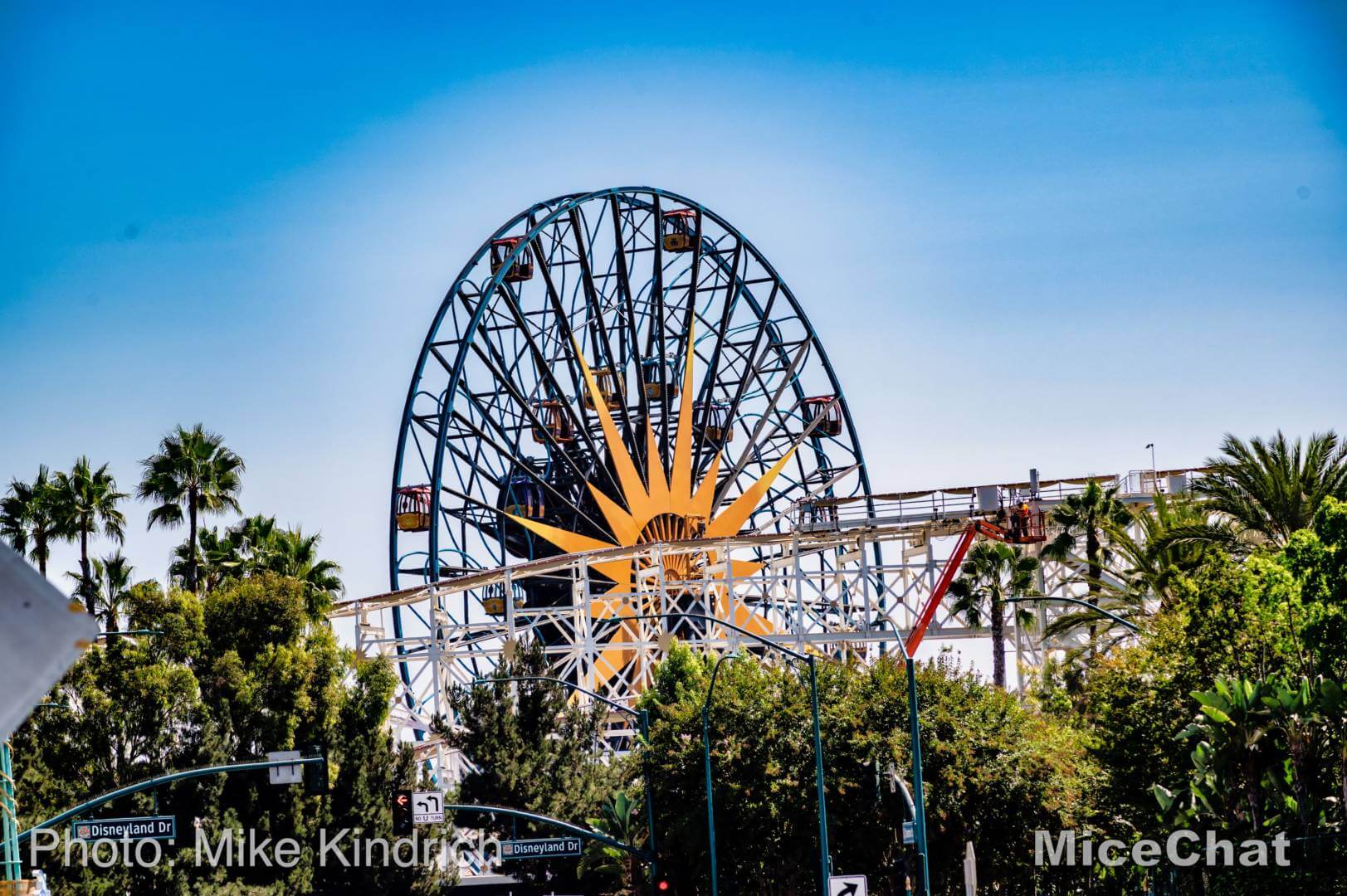 , Disneyland Update – A Tale of Wild Extremes