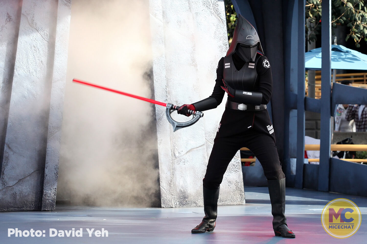, Disneyland Update – A Tale of Wild Extremes