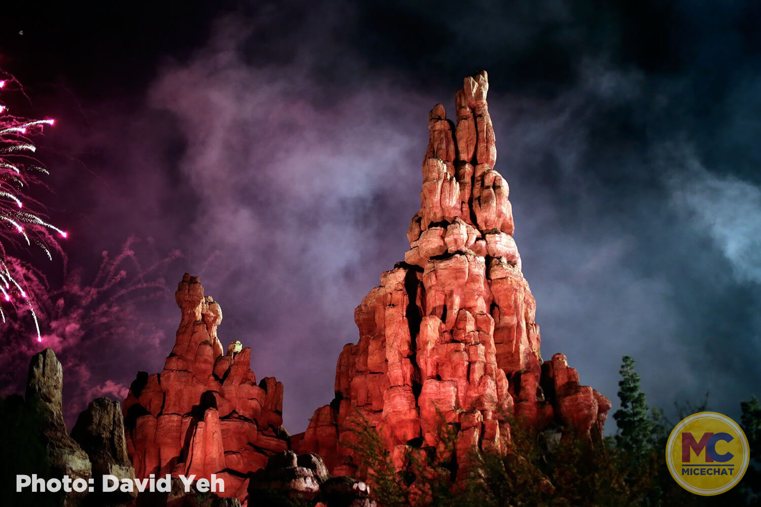 , Disneyland Update &#8211; And the Winner Is . . .