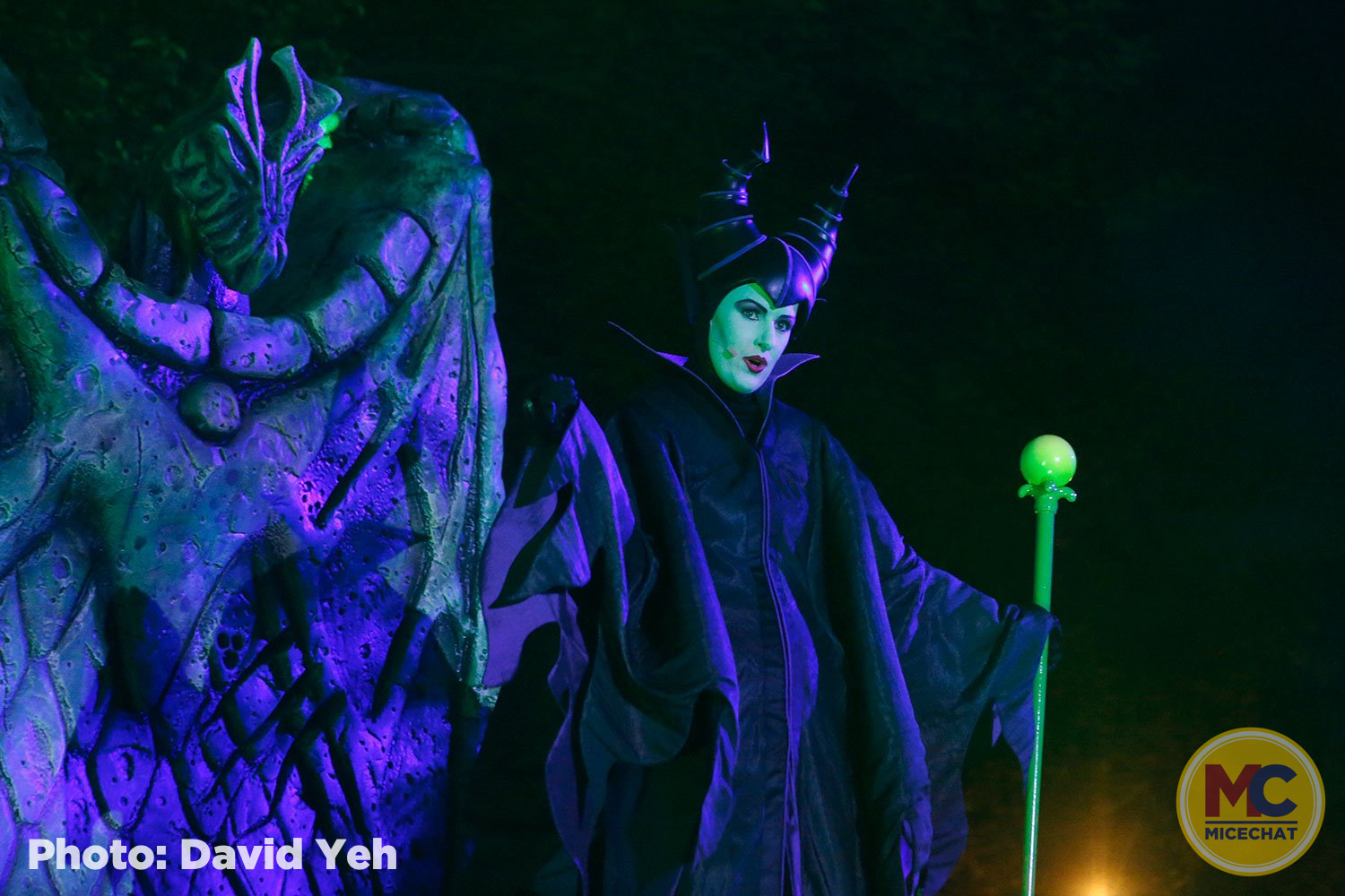 , Disneyland Update – A Tale of Wild Extremes