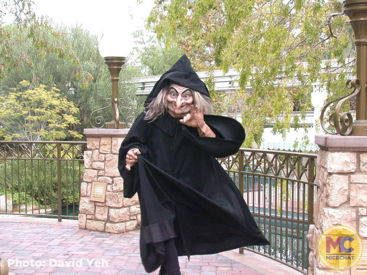 , Disneyland Update – A Tale of Wild Extremes