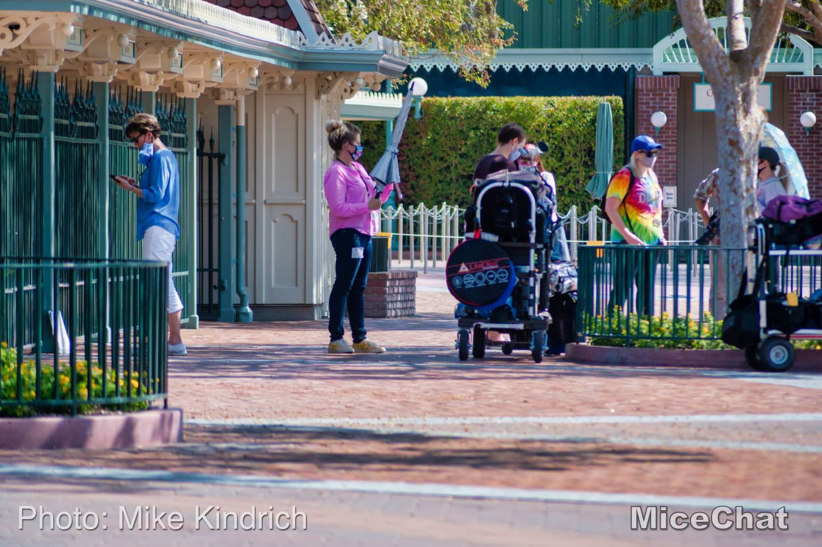 , Disneyland Update – A Tale of Wild Extremes
