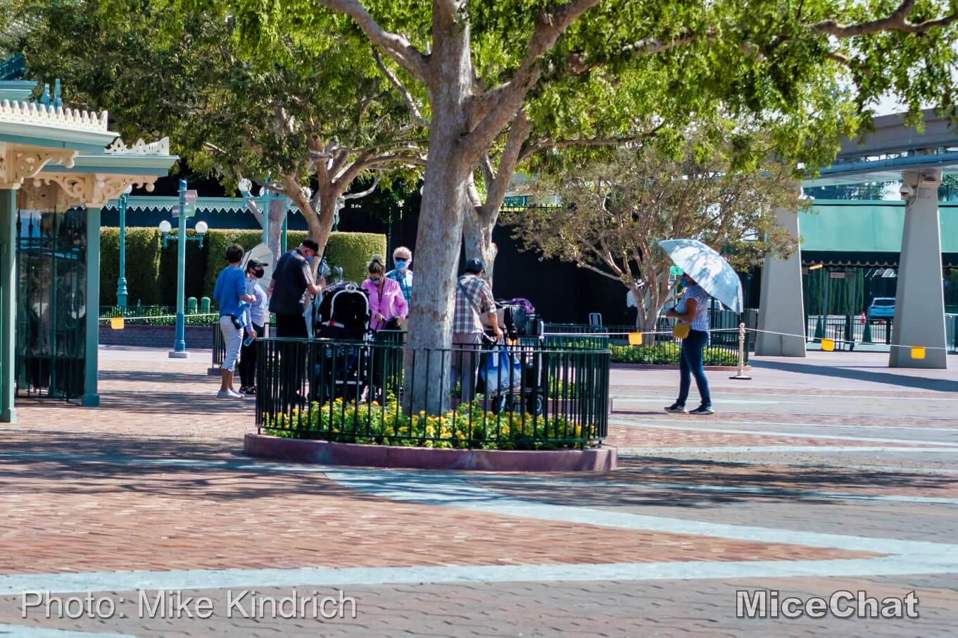 , Disneyland Update – A Tale of Wild Extremes