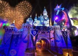 Disneyland Update – And the Winner Is . . .