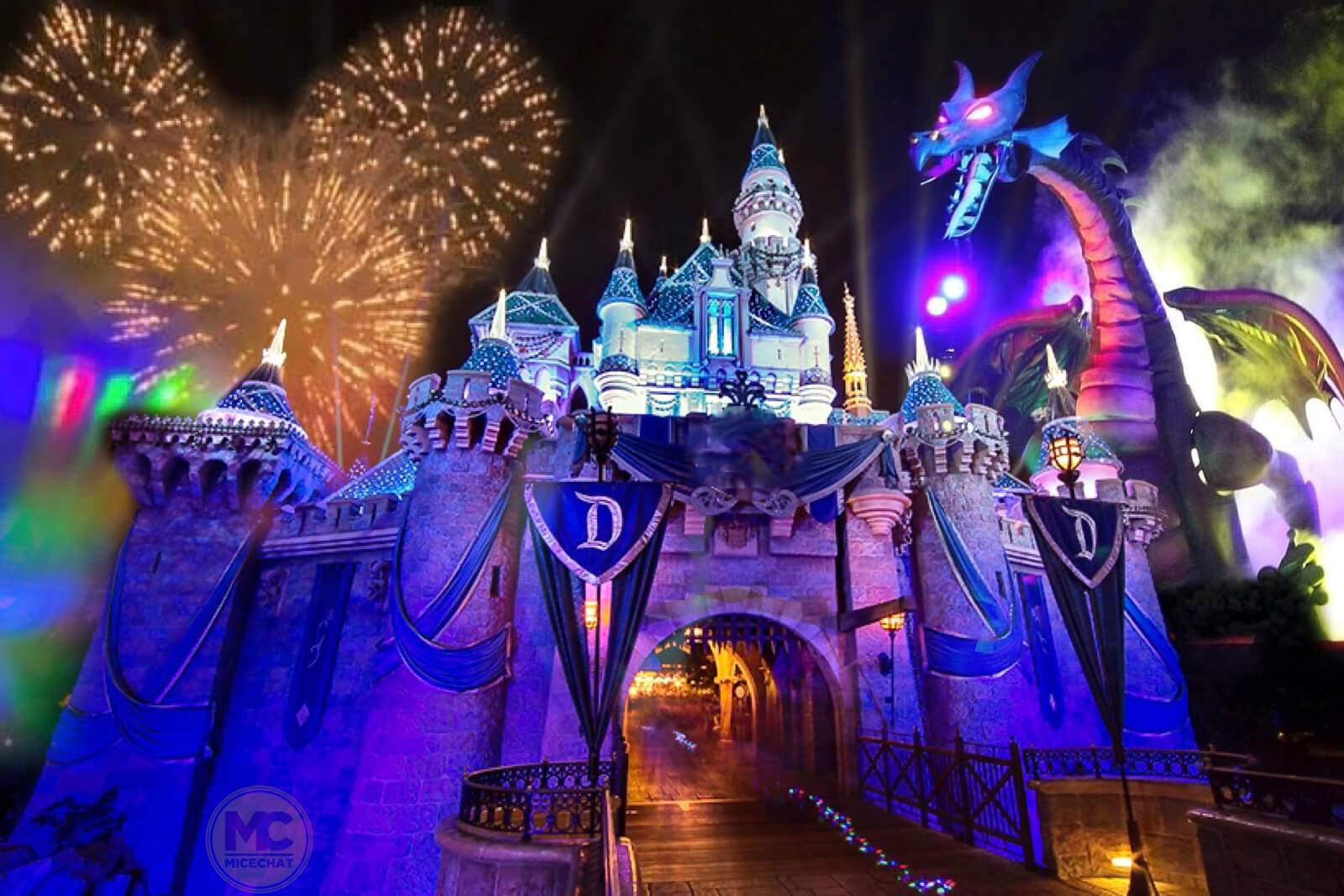 Disneyland Update – And the Winner Is . . .
