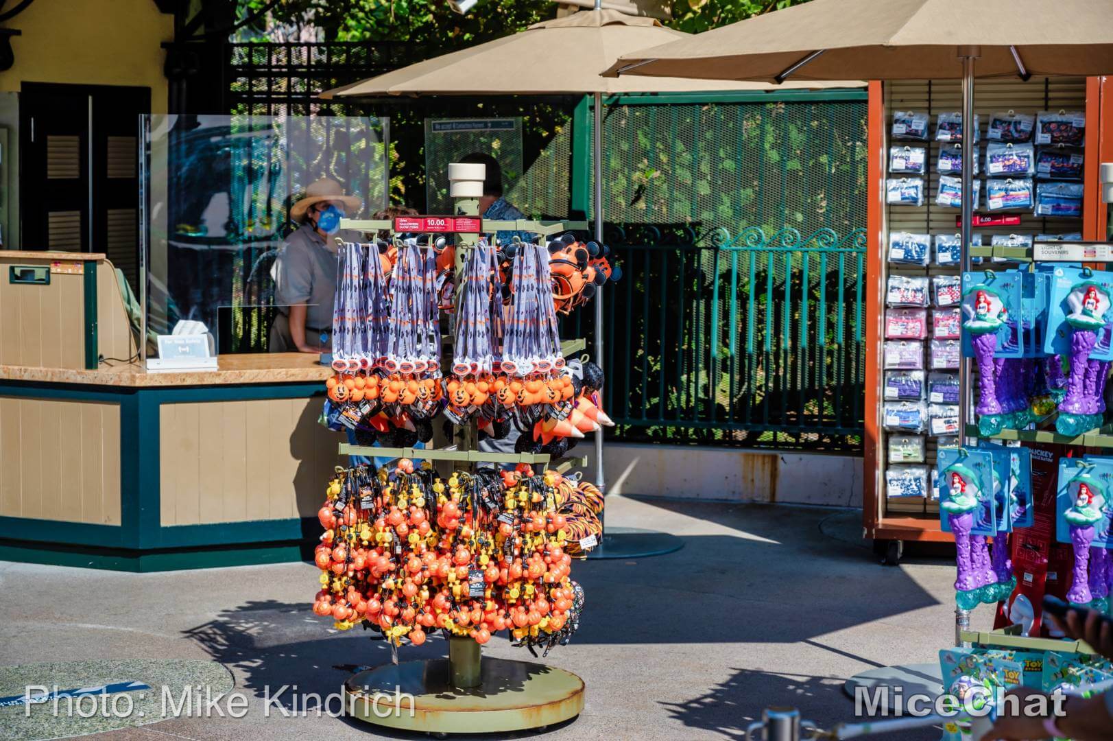 , Disneyland Update – A Tale of Wild Extremes