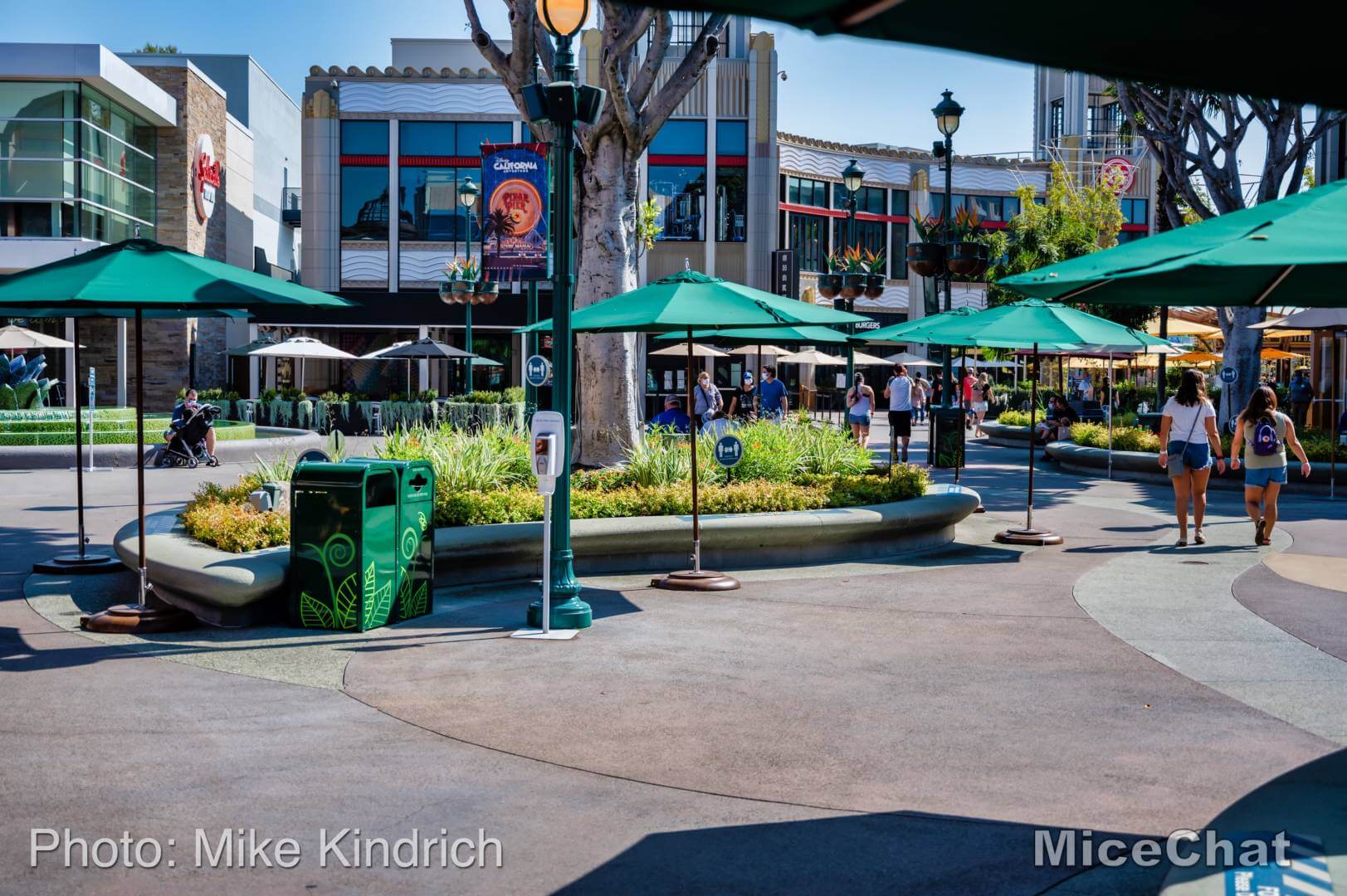 , Disneyland Update – A Tale of Wild Extremes