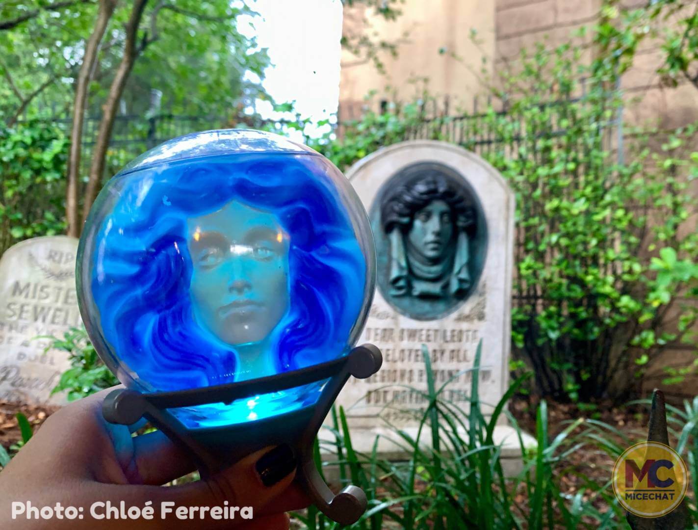 , Walt Disney World Update – Send Us a Message From Somewhere Beyond!