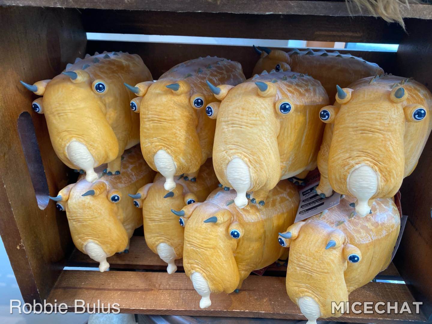 Star Wars Trading Post, Star Wars: Galaxy’s Edge Takes Over Wonderground Gallery at Downtown Disney