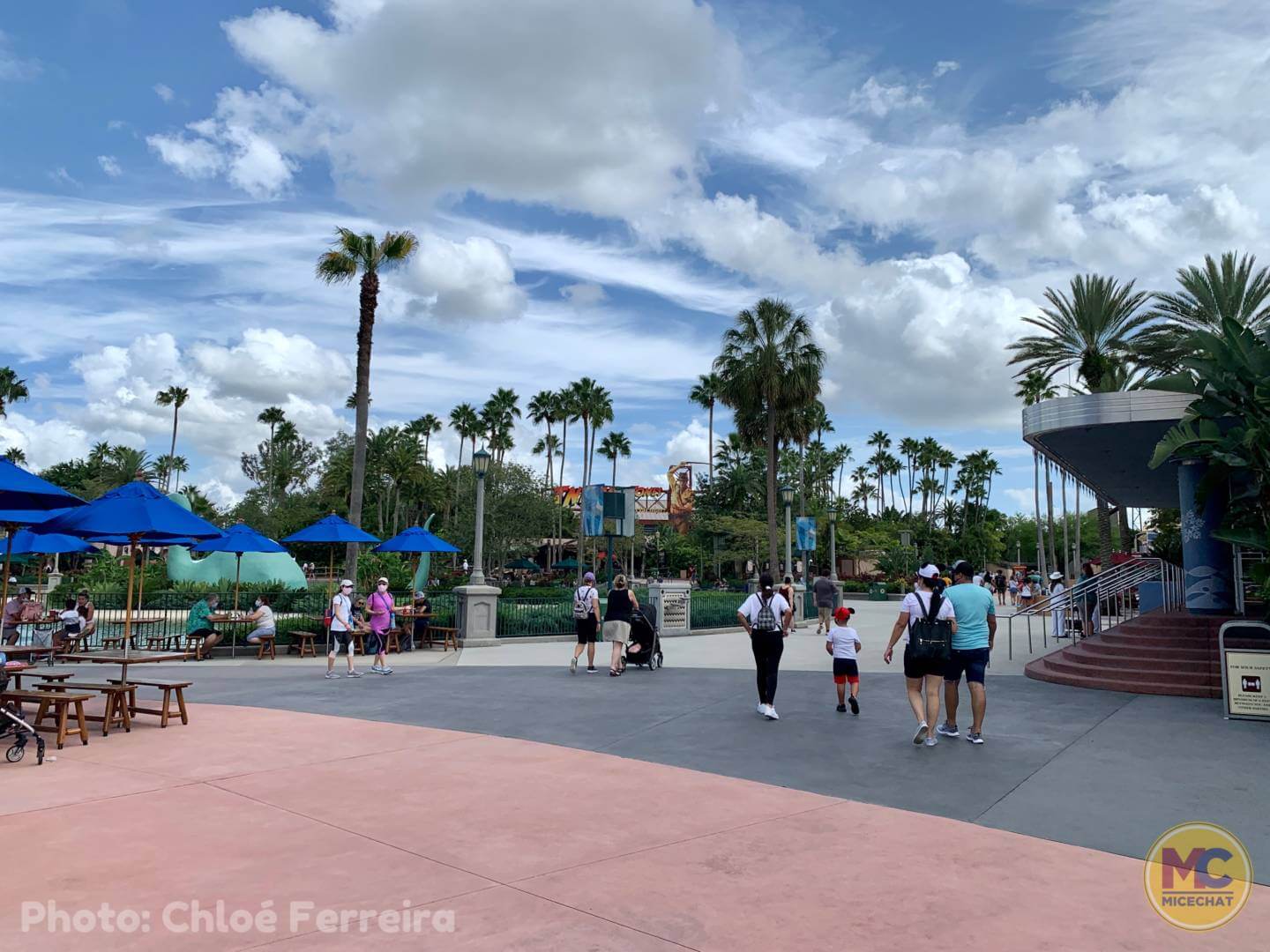 , Walt Disney World Update – The Bubble Bursts