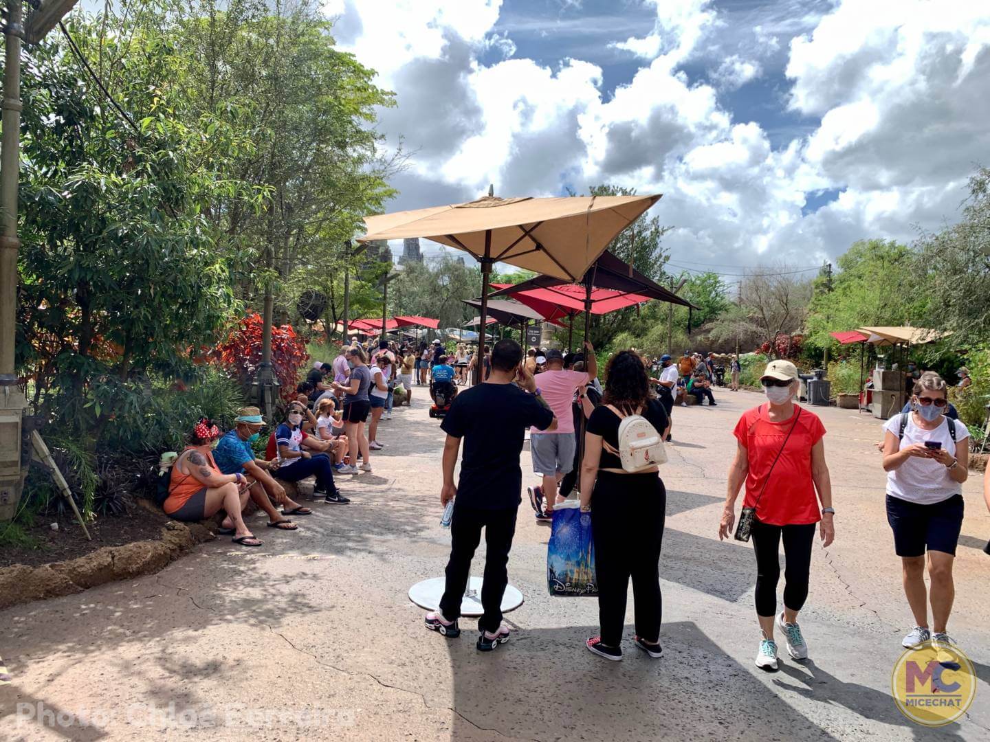 , Walt Disney World Update – The Bubble Bursts