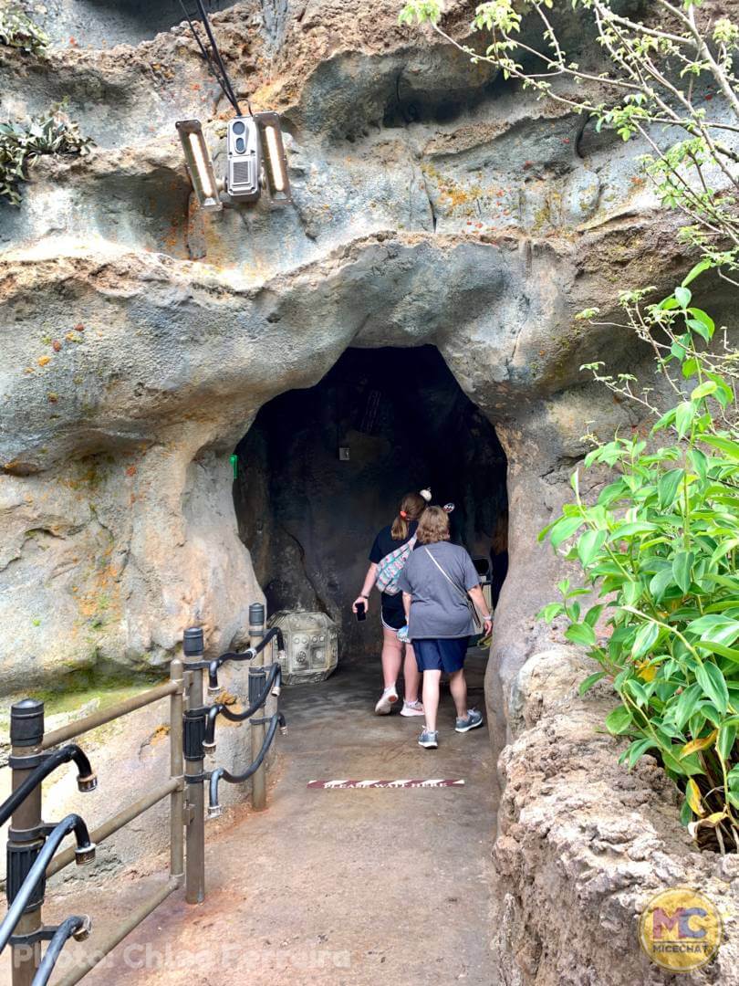 , Walt Disney World Update – The Bubble Bursts