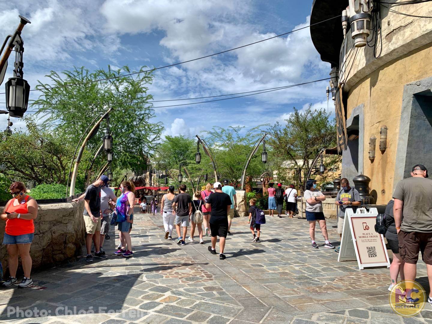 , Walt Disney World Update – The Bubble Bursts