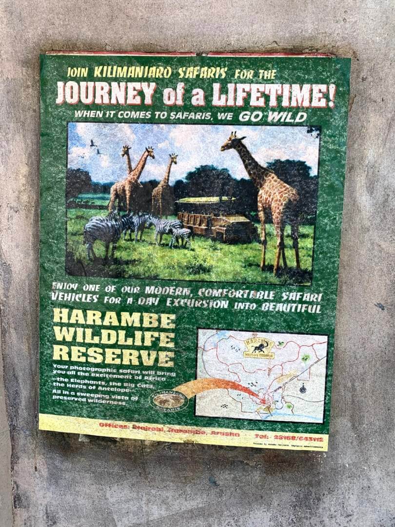 , Exploring Disney’s Animal Kingdom Kilimanjaro Safaris