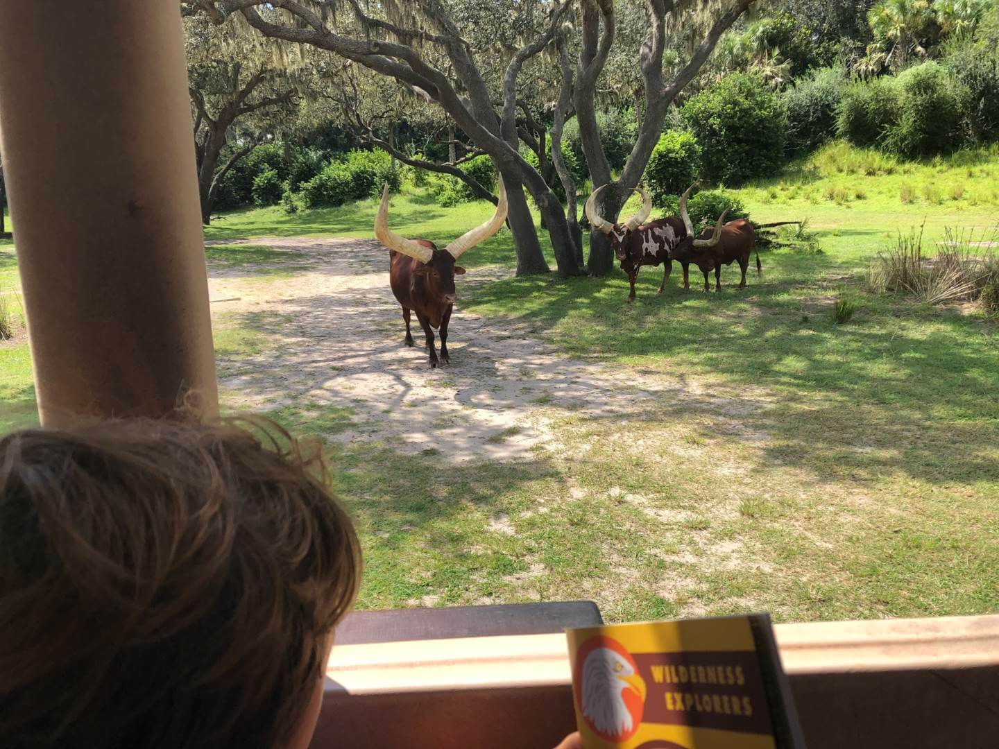 , Exploring Disney’s Animal Kingdom Kilimanjaro Safaris
