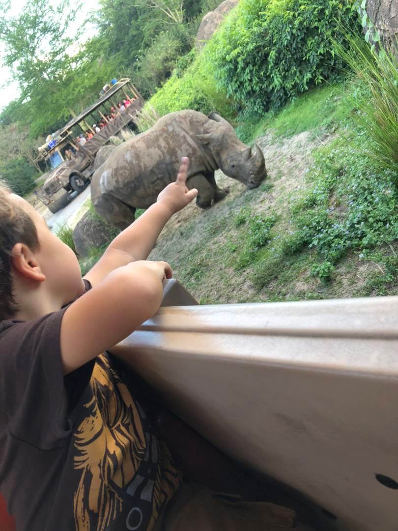 , Exploring Disney&#8217;s Animal Kingdom Kilimanjaro Safaris