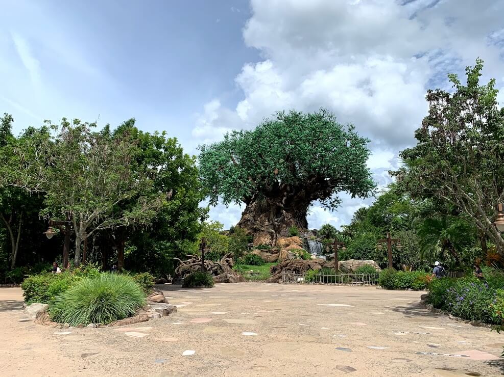 , Exploring Disney’s Animal Kingdom Kilimanjaro Safaris