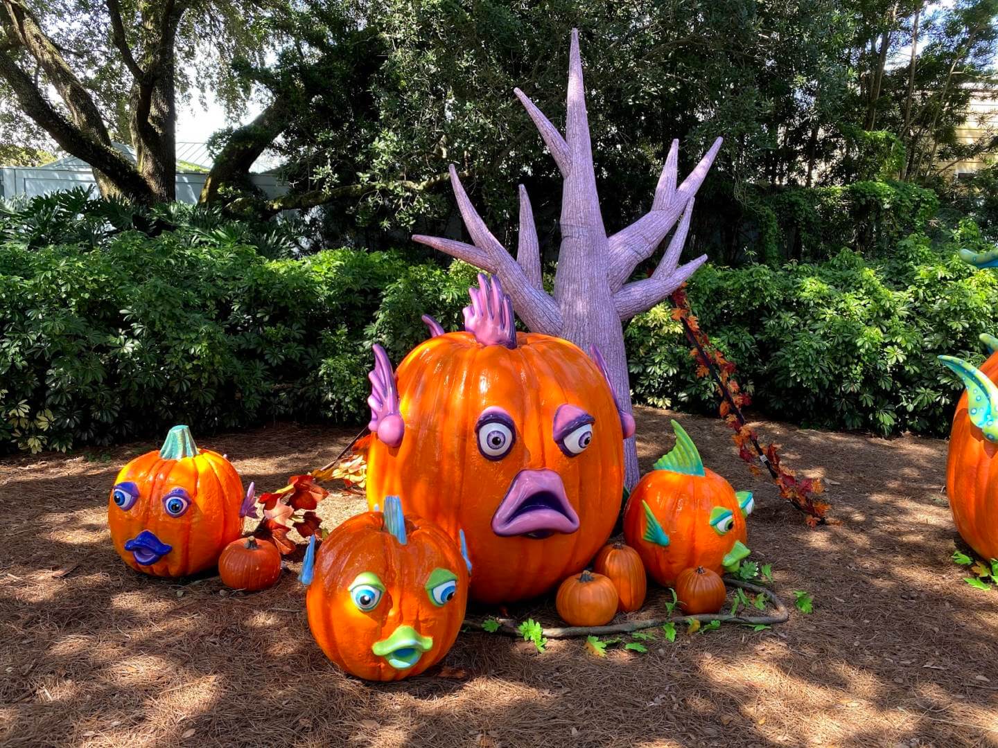 , SeaWorld Orlando Halloween Spooktacular a Trick and a Treat