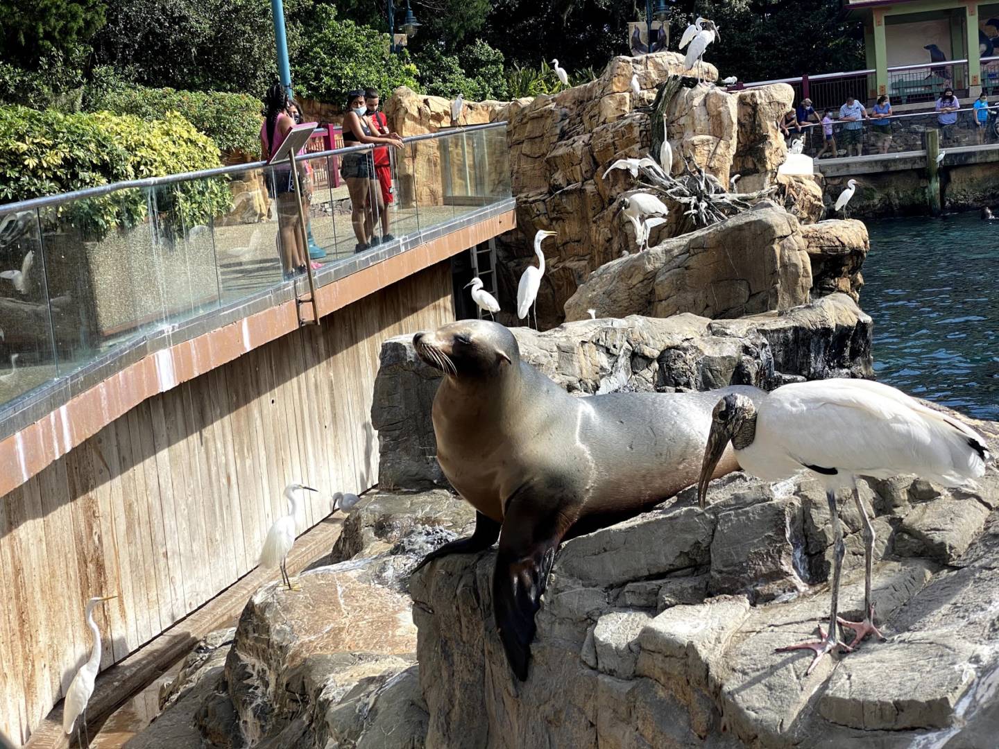 , SeaWorld Orlando Halloween Spooktacular a Trick and a Treat