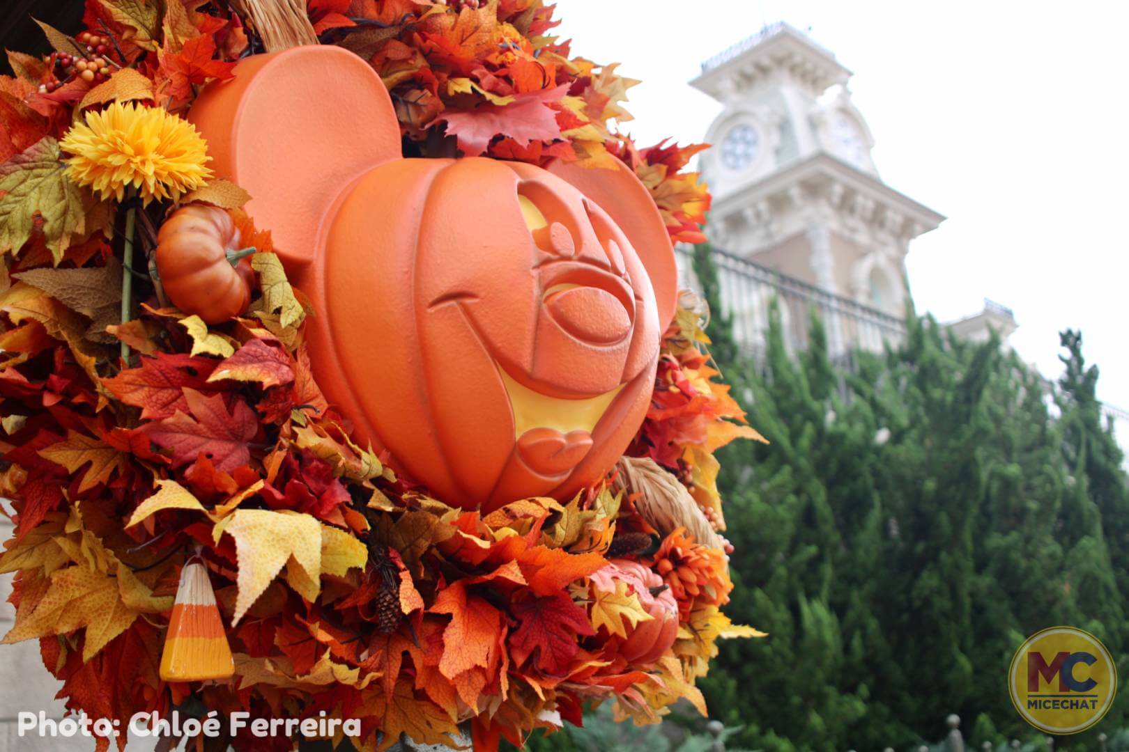 , Walt Disney World Update &#8211; Fall Festivities, Ghoulish Delights &#038; A Polynesian Surprise